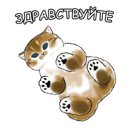 Котики sticker 6
