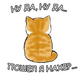 Котики sticker 8