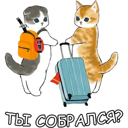 Котики sticker 9