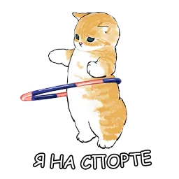 Котики sticker 10