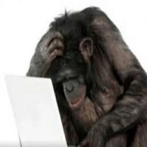 Monkeys sticker 17