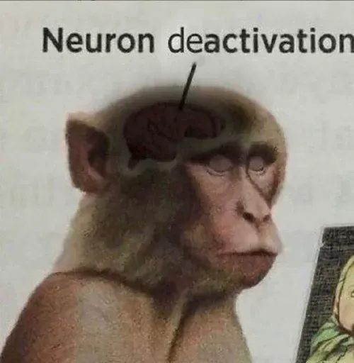 Monkeys sticker 40