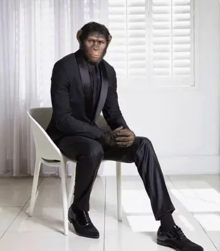 Monkeys sticker 42