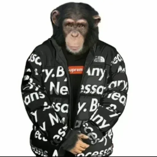 Monkeys sticker 44