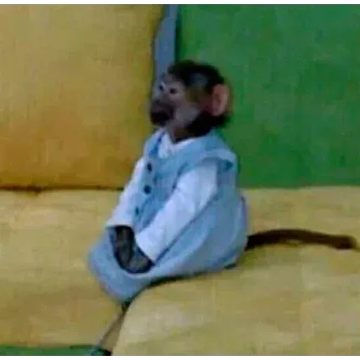 Monkeys sticker 48