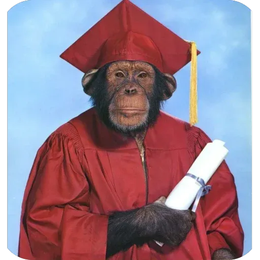 Monkeys sticker 68