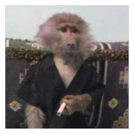 Monkeys sticker 70