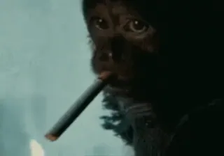 monke2004 sticker 101