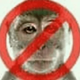 monke2004 sticker 27