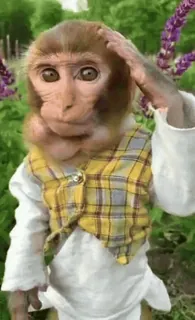 monke2004 sticker 37