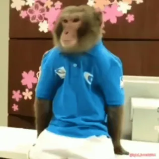 monke2004 sticker 45