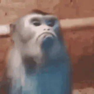 monkeysbynorufx_by_fstikbot sticker 21