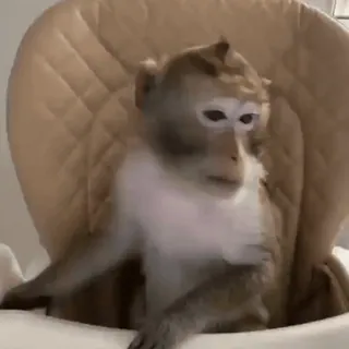 monkeysbynorufx_by_fstikbot sticker 38