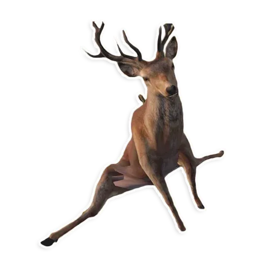 monkeysbynorufx_by_fstikbot sticker 56
