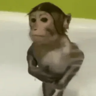 cute monkeys sticker 24