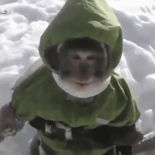 cute monkeys sticker 5