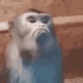 Обезьяны sticker 12