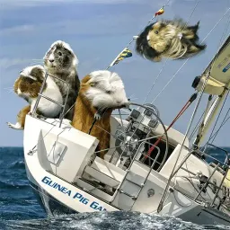 Морские свинки sticker 12