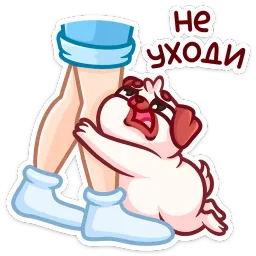 Моси Эделия Исламова sticker 9