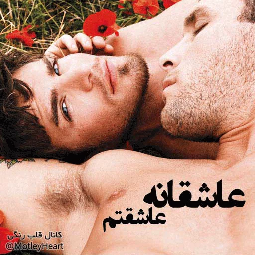 Ghalbe Rangi @MotleyHeart sticker 7
