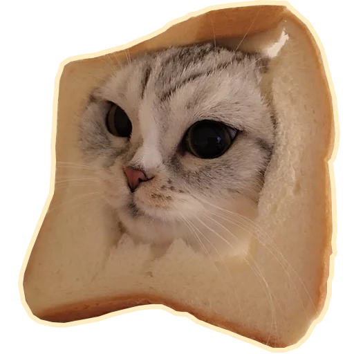 Purr purr Telegram sticker pack