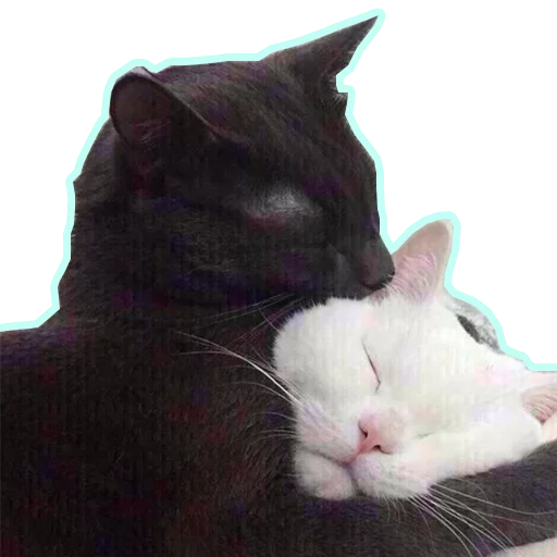 Purr purr sticker 2