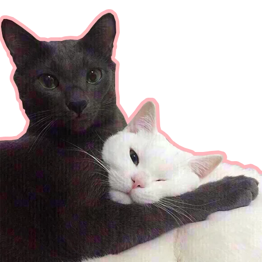Purr purr sticker 3
