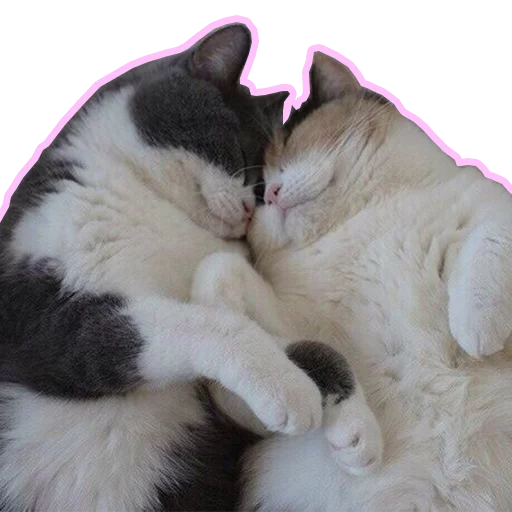 Purr purr sticker 4