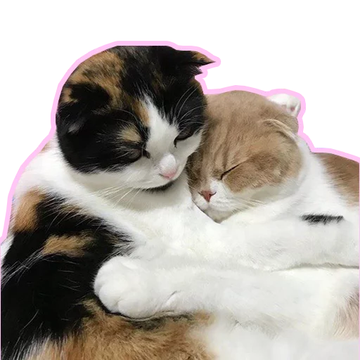 Purr purr sticker 5