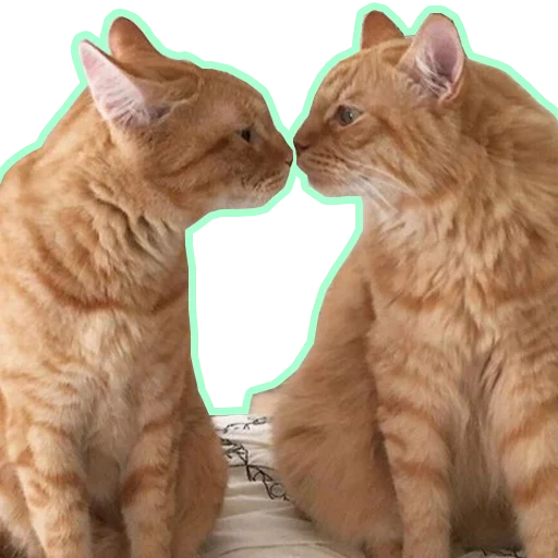 Purr purr sticker 6