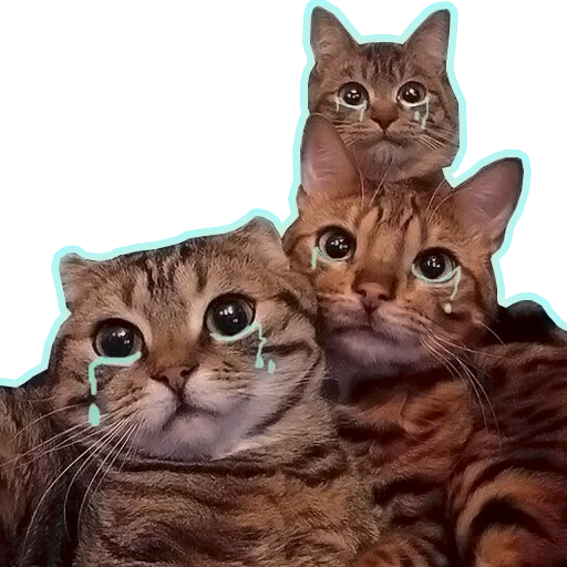 Purr purr sticker 8