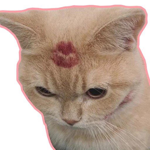 Purr purr sticker 9