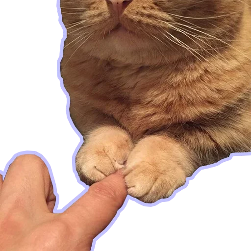 Purr purr sticker 10
