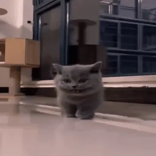 My favorite cats sticker 33