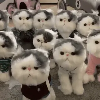 My favorite cats sticker 10
