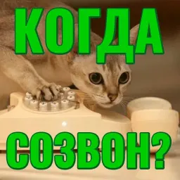 Моя любимая Кошка sticker 2