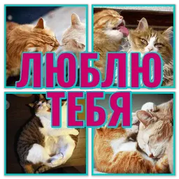 Моя любимая Кошка sticker 5