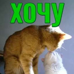 Моя любимая Кошка sticker 6