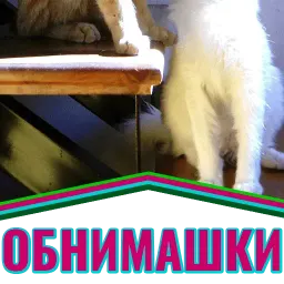 Моя любимая Кошка sticker 9