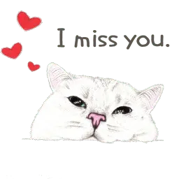 Nala & White Coffee Cat sticker 11