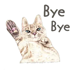 Nala & White Coffee Cat sticker 4