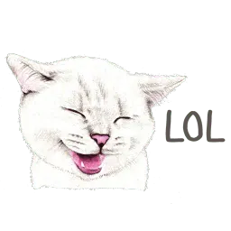 Nala & White Coffee Cat sticker 5