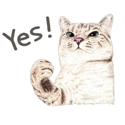 Nala & White Coffee Cat sticker 8
