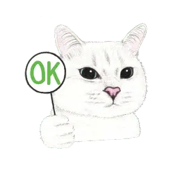 Nala & White Coffee Cat sticker 9