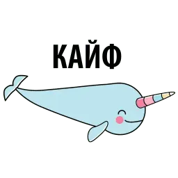 Narwhal @TuristasTV sticker 10