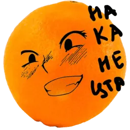 🍊Mandarin @lennysticker sticker 7