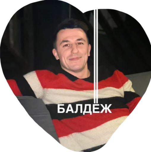 nicejirinovsky sticker 7