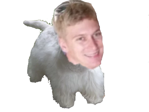 Nickisdummy sticker 2