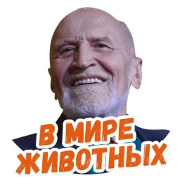 Дроздов @lennysticker sticker 2