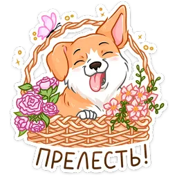 Вместо слов Эделия Исламова sticker 6